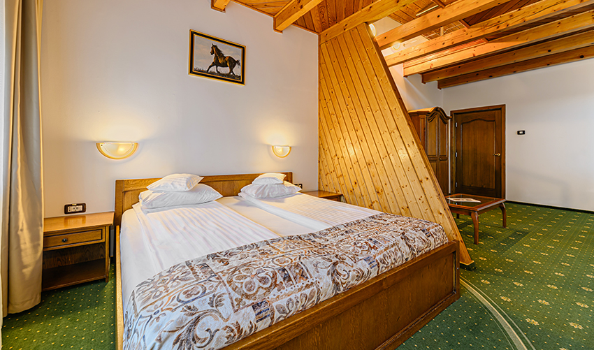 Hotel Casa Viorel Poiana Brasov | Cazare Poiana Brasov | Poiana Brasov Hotel | Cazare hotel Poiana Brasov | Oferte cazare Poiana Brasov | Hotel Poiana Brasov | Poiana Brasov cazare | Restaurant Poiana Brasov | Poiana Brasov restaurant | Evenimente coporate Poiana Brasov | Organizare evenimente Poiana Brasov | Sala de conferinte Poiana Brasov