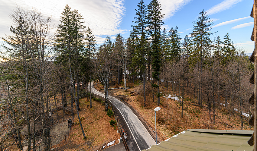 Hotel Casa Viorel Poiana Brasov | Cazare Poiana Brasov | Poiana Brasov Hotel | Cazare hotel Poiana Brasov | Oferte cazare Poiana Brasov | Hotel Poiana Brasov | Poiana Brasov cazare | Restaurant Poiana Brasov | Poiana Brasov restaurant | Evenimente coporate Poiana Brasov | Organizare evenimente Poiana Brasov | Sala de conferinte Poiana Brasov