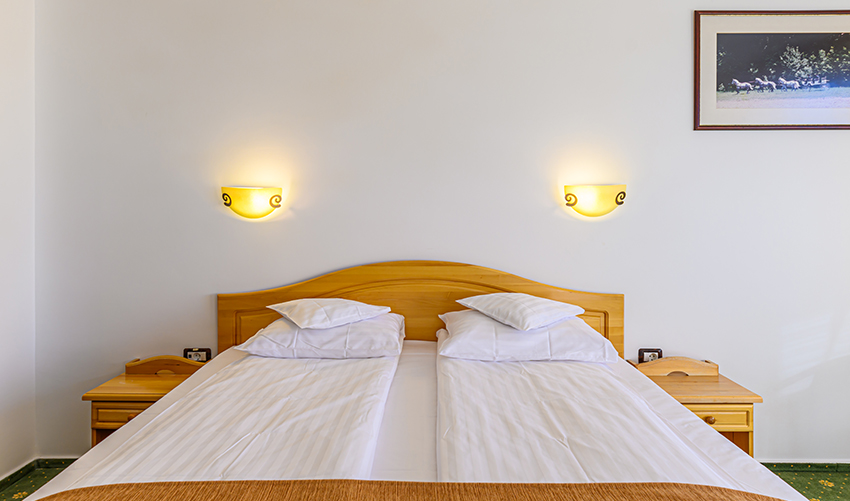 Hotel Casa Viorel Poiana Brasov | Cazare Poiana Brasov | Poiana Brasov Hotel | Cazare hotel Poiana Brasov | Oferte cazare Poiana Brasov | Hotel Poiana Brasov | Poiana Brasov cazare | Restaurant Poiana Brasov | Poiana Brasov restaurant | Evenimente coporate Poiana Brasov | Organizare evenimente Poiana Brasov | Sala de conferinte Poiana Brasov